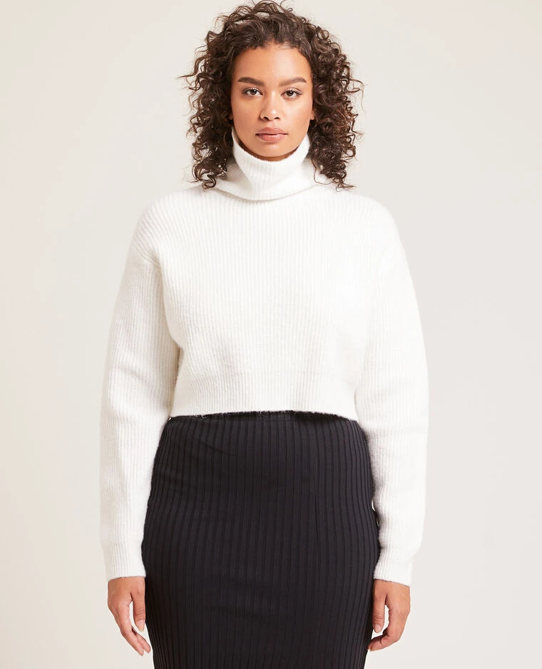 PIMKIE Pull Cropped Col Roulé 4 PIMKIE Pull Cropped Col Roulé – Image 2