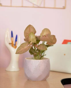 PIMKIE Pot Géométrique